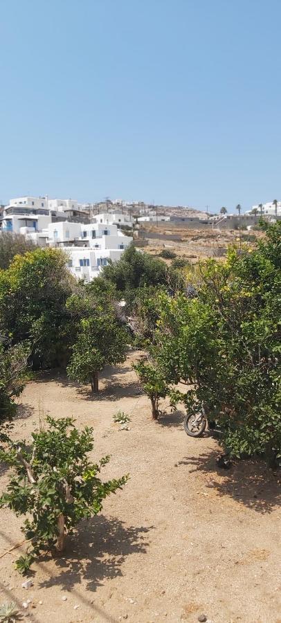 Demis Mykonos Stay 2 プラティス・ヤロス エクステリア 写真